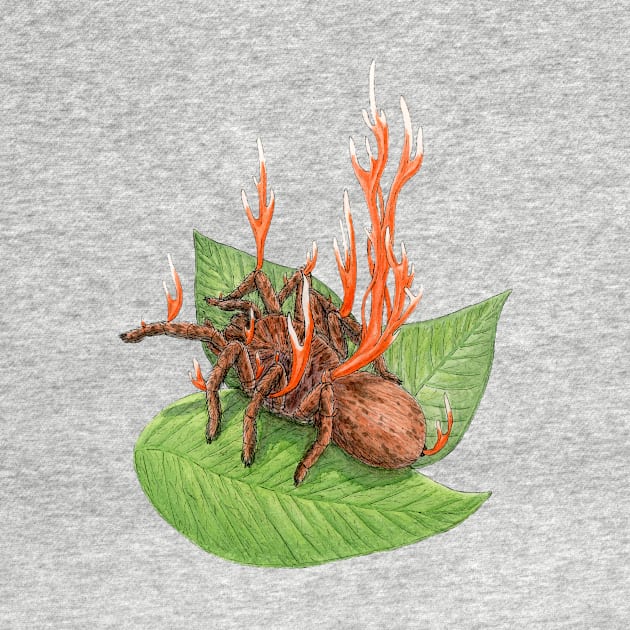 Cordyceps Tarantula (Cordyceps caloceroides) by paintedpansy